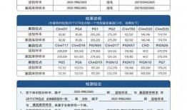 二宁最新爆料新闻报道视频,揭秘事件背后惊人真相